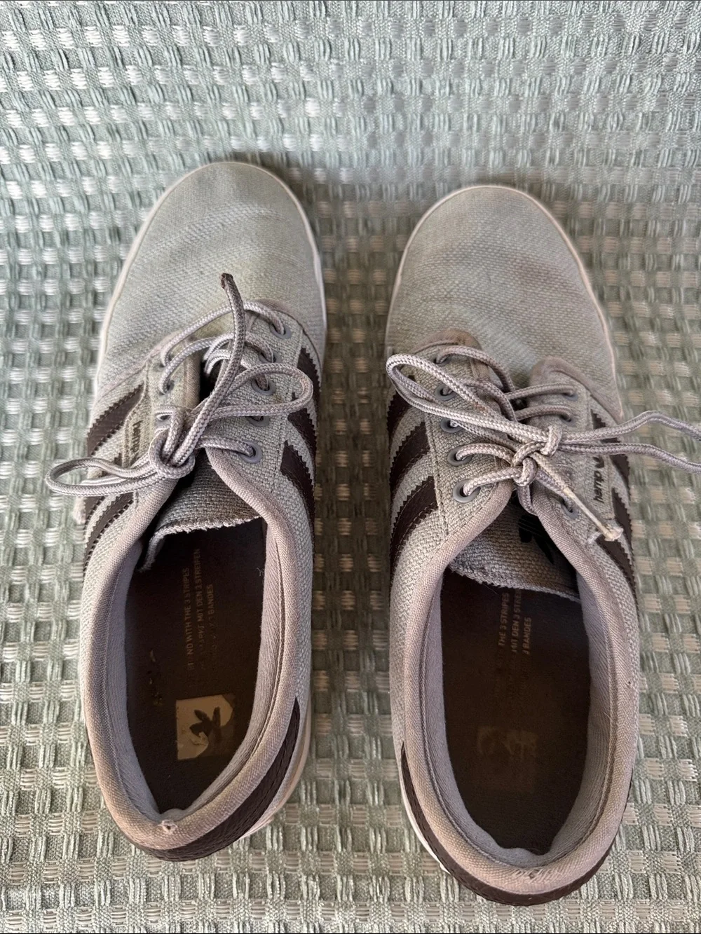 Adidas Seeley Skate Men's Casual Canvas Lace-Up Shoes - Gray with Black Stripes